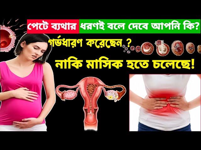 পেটে ব্যাথা হচ্ছে? জেনে নেন মাসিক হবে,ওভুলেশন না কি গর্ভধারণ করেছেন? Early Pregnancy Symptoms Bangla