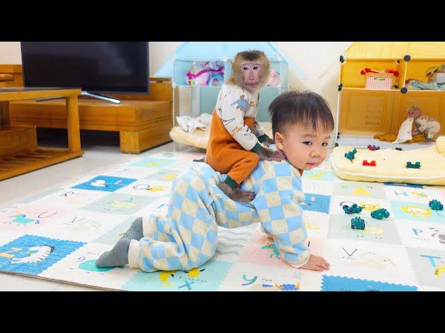 Monkey Pupu plans to steal Nguyen's stuff and have fun with him