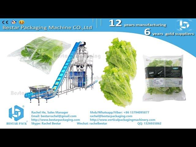 Leafy greens salad 100g pouch automatic weighing and packing machine