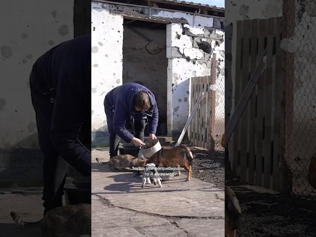 «Поприбирали, та й живемо. А що нам залишається?» Жінка повернулась у деокуповане село #зсу  #війна