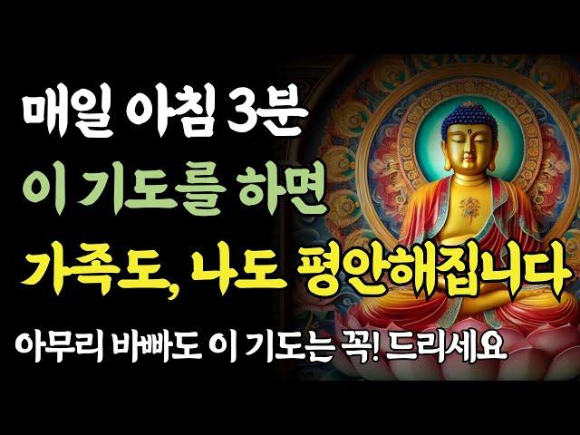 아침 기도를 절대 놓치지 마세요! 매일 아침 ‘이 기도’만 드리세요ㅣ부처님 말씀ㅣ불교 명언