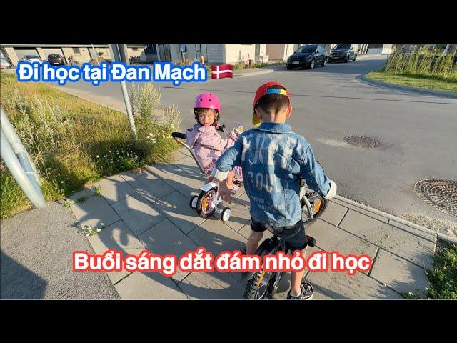 Đi học mỗi sáng tại Đan Mạch