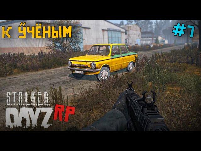 ДОРОГА К УЧЕНЫМ И НОВЫЙ КОНЬ. DAYZ STALKER RP 7 серия