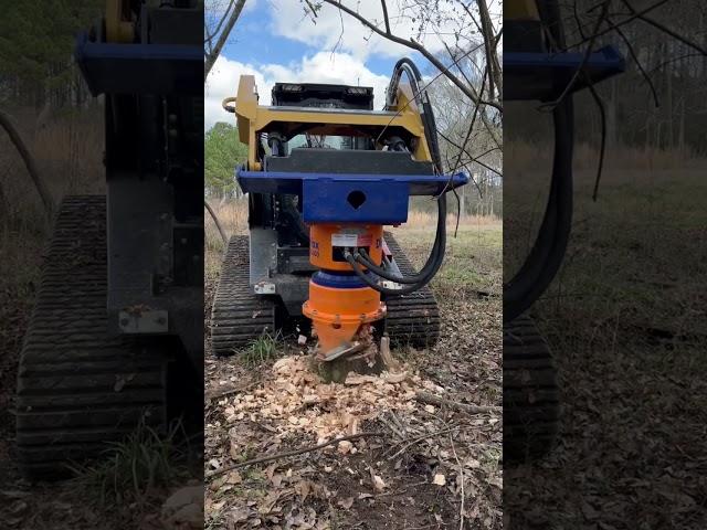 DipperFox SC600 on ASV RT75HD stump grinding A 15in oak tree part 1