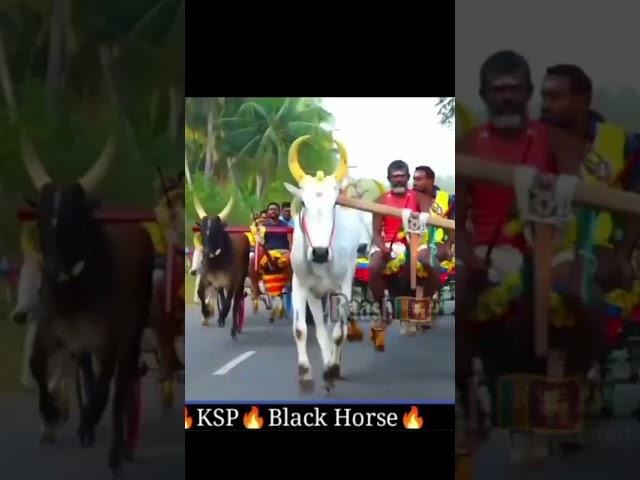 KSP Ganapathy  karuppu kuthirai 