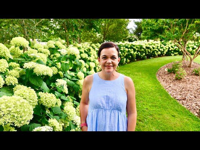 Inspirational Summer Garden Tour at Spring Meadow Nursery