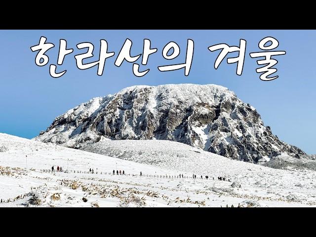 겨울에 한라산을 꼭 가야하는 이유 | 어리목~윗세오름 with 어반사이드 스노우버스터 아이젠