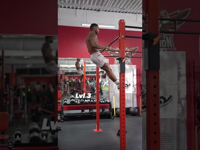 Muscle Up Progressions (LVL 1-4)