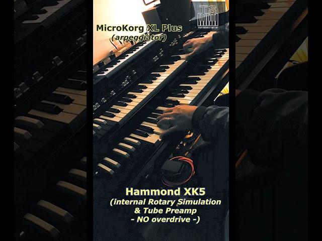 #shorts Hammond XK5 & Korg MicroKorg XL Plus  #music #synth #hammondorgan @HammondB3tube