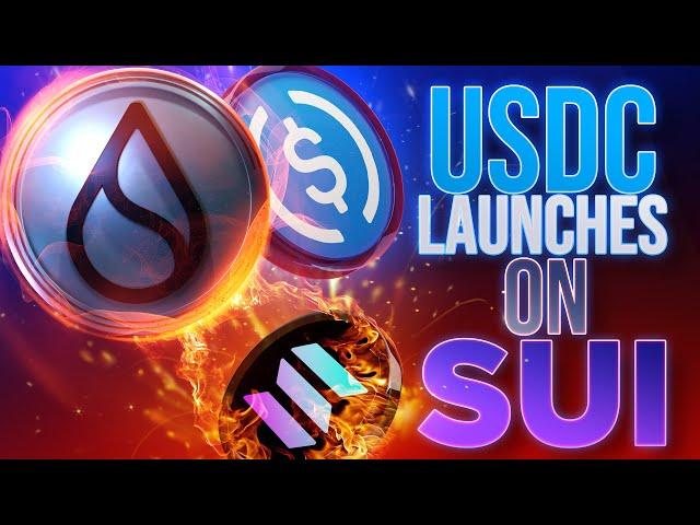 USDC Launches on SUISolana SHOTS FIRED!