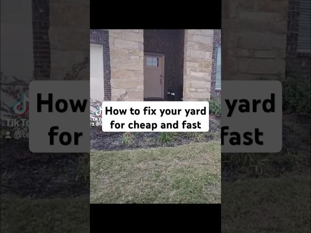 How to fix your yard