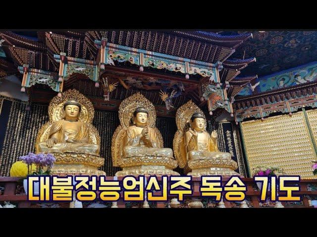 대불정능엄신주(목탁)/관음사 기도