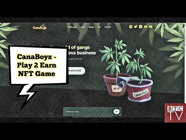 CanaBoyz - Play To Earn NFT Game - Live Testnet - Review by BTCTV