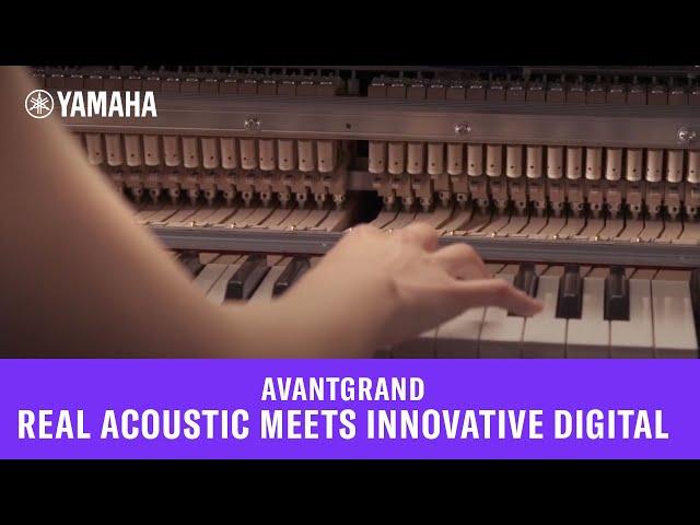 AvantGrand  - Real Acoustic Meets Innovative Digital