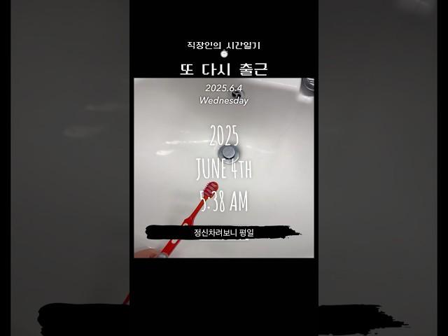 #일상일기 #브이로그 #vlog #직장인브이로그 #직장인시간일기 #시간일기 #250604