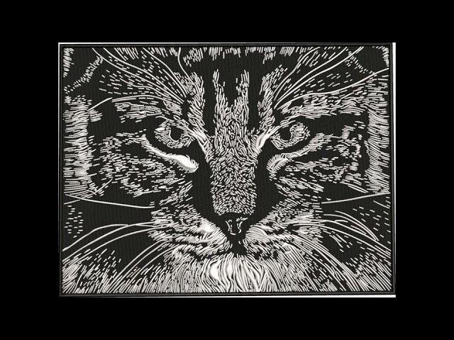 Andrei - Bobcat