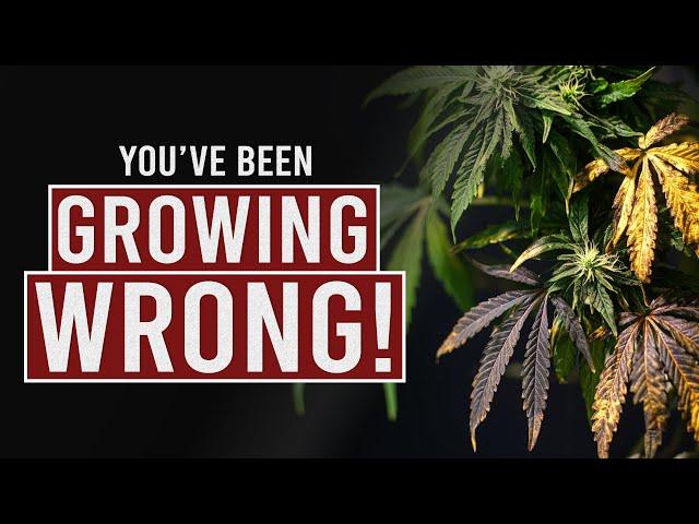 How NOT to Grow Cannabis!