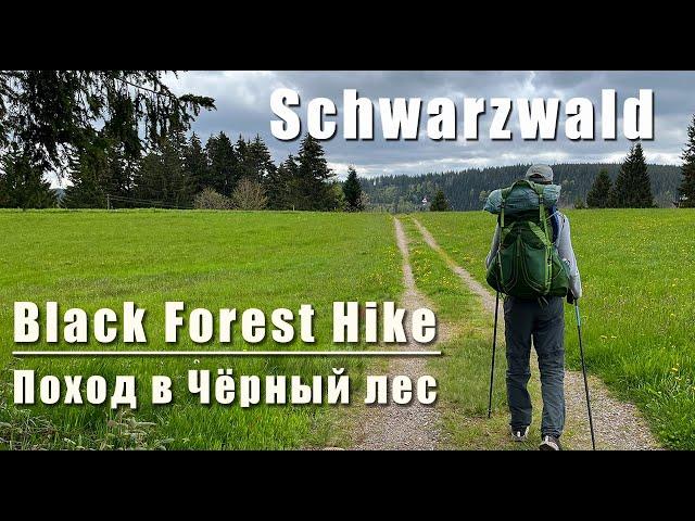 3 days hiking in BLACK FOREST: Titisee, Schluchsee, Feldberg, St. Blasien