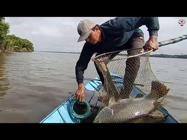 This big Barramundi fish makes me panic #Bamboo rod fishing