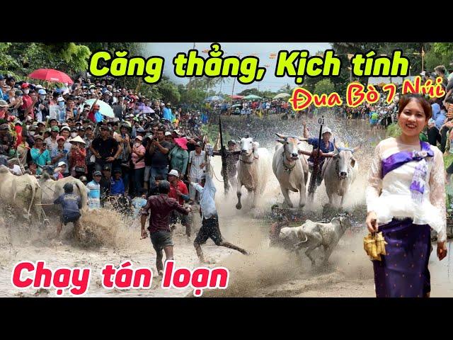 Căng thẳng chưa từng có lễ hội ĐUA BÒ 7 NÚI Chùa Rô An Giang 2024