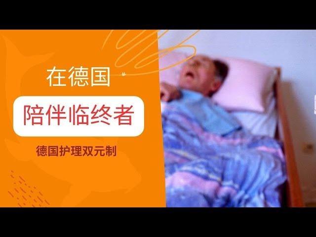 在德国陪伴临终者的体验/德国护理双元制/德国养老院