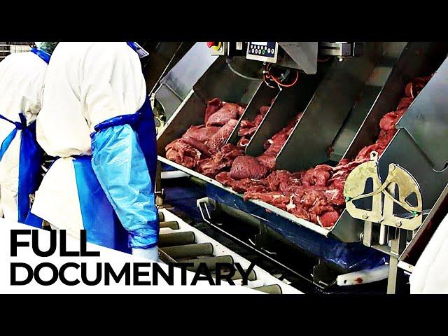 The Meat Lobby: Inside the Abyss of an Industry | ENDEVR Documentary