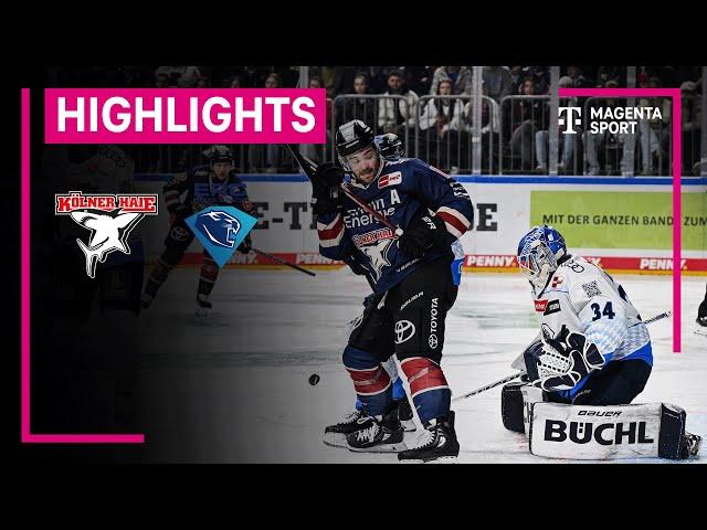 Kölner Haie - ERC Ingolstadt | PENNY DEL | MAGENTA SPORT