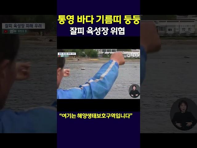 통영 앞 바다 좌초 선박 기름 유출 여파 국내 최초 잘피 육성장 등 해양생태보호구역 위협