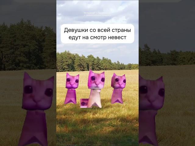 КОТЫ ОБЪЯСНЯЮТ ИСТОРИЮ: Иван Грозный и его жены