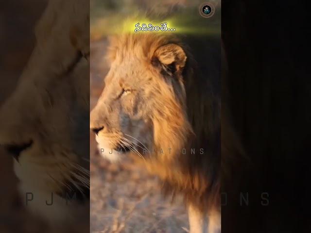 రాజులకే మహ రాజువు