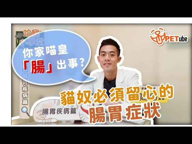 【#哈寵PETube】 第133集 貓咪腸胃疾病篇 feat. 戢皓翰醫師