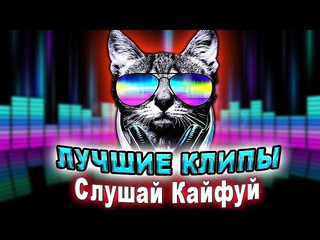 Самые лучшие клипы от Слушай Кайфуй!