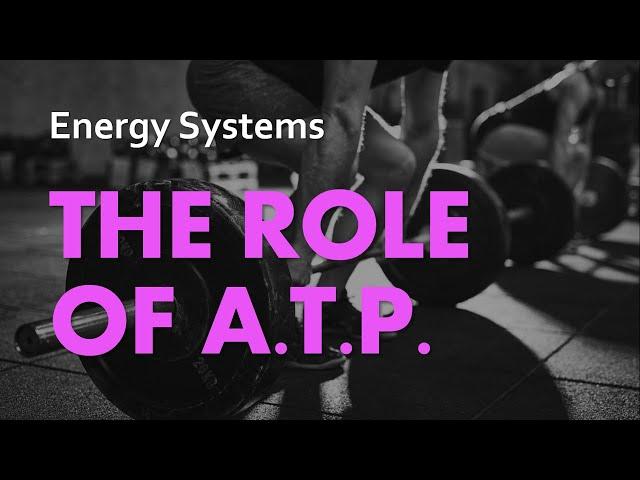 The Role of ATP | Energy Systems 01 | Anatomy & Physiology