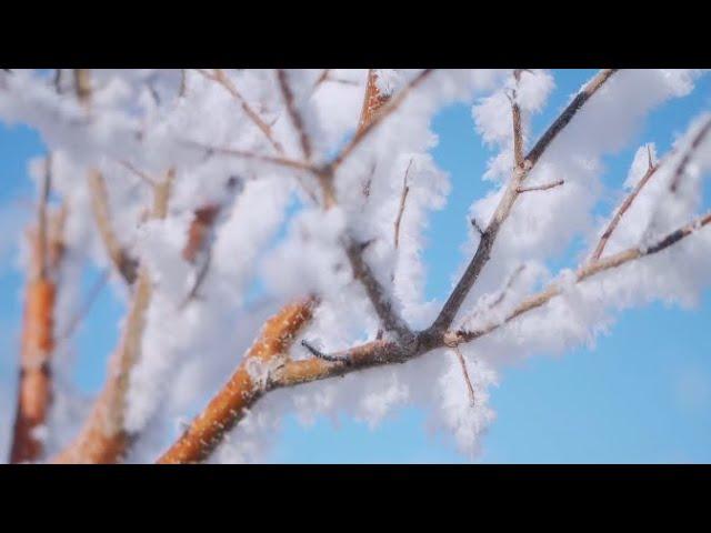 Soft rime embellishes surroundings of Dabancheng District in NW China's Xinjiang