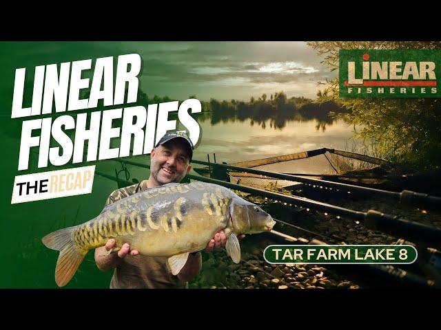 CATCHING CARP AT LINEAR FISHERIES - TAR FARM LAKE 8