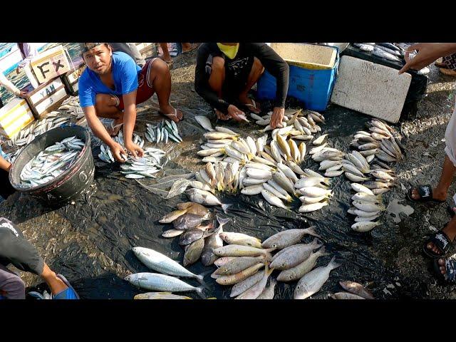 Fresh fish market at Jolo, Sulu 