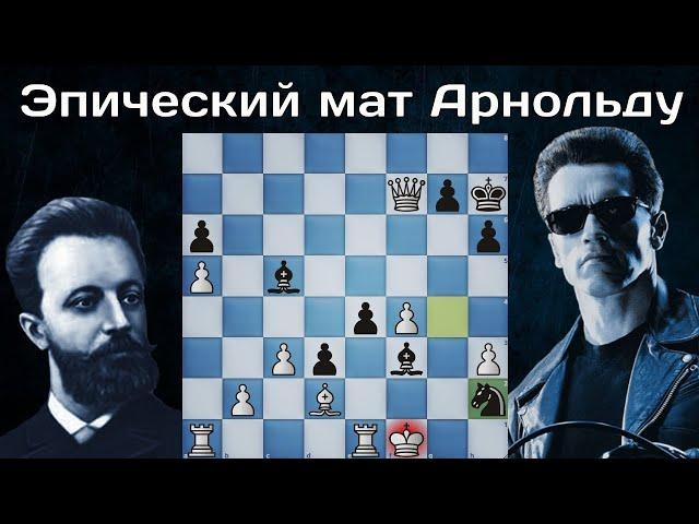 Михаил Чигорин жертвует две Ладьи, Ферзя и ставит мат Конем! Шахматы