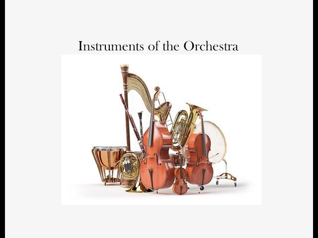 The Instruments of the Orchestra!