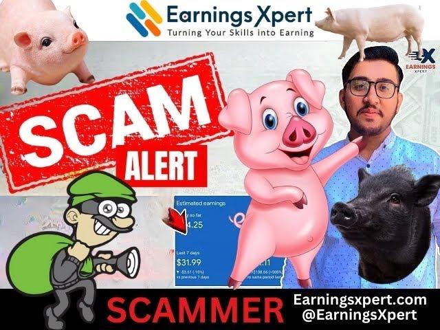 "Exposing Hamza Tahir: The Earningsxpert AdSense Approval Scam | Beware of This Fraud!"