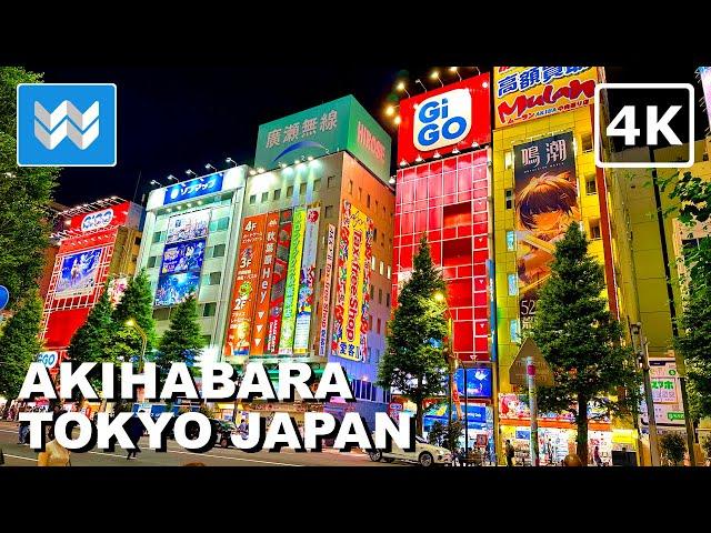 [4K] Akihabara Electric Town at Night in Tokyo Japan  2024 Virtual Walk Tour Vlog