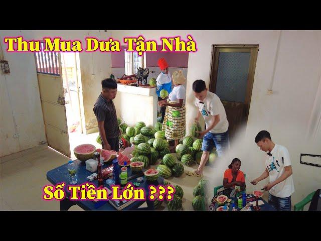 Linh Philip || Thu Số Tiền Lớn Từ Việc Bán Dưa Hấu Tại Nhà ???