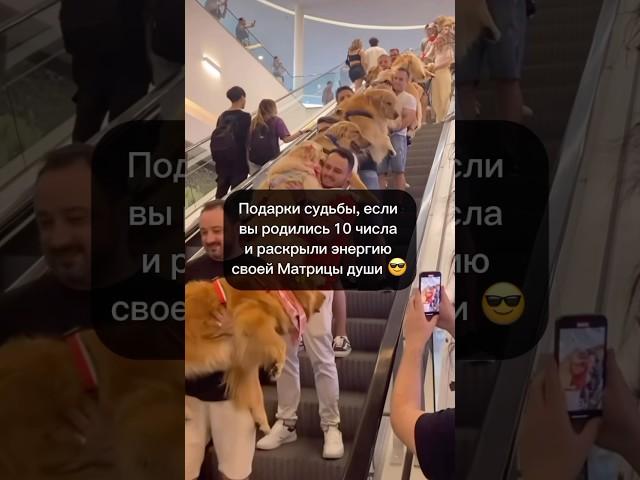 Если вы родились 10 числа. Елена Зори нумеролог. Матрица судьбы.