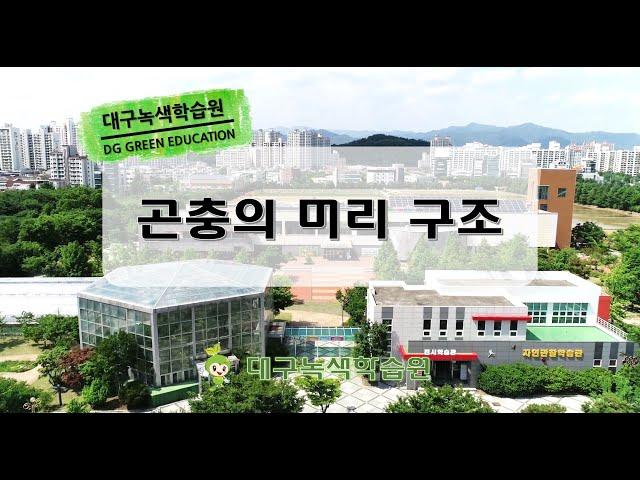 [자연관찰학습관 해설] 곤충의 머리 눈