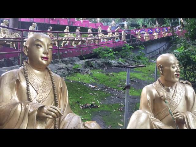 Drink Life to the Lees - a Peg and Bix Travel Video Featuring Hong Kong and Macau