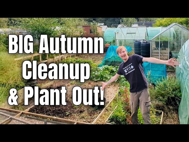 Clearing The Allotment For Winter | Planting Cabbages, Broccoli, & Garlic | Gardening For Beginners