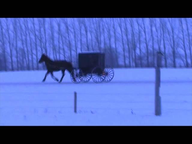 Amish buggy leaving Glacial Ridge Equine