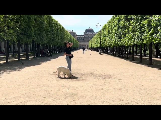 Paris : Jardin du Palais Royal 