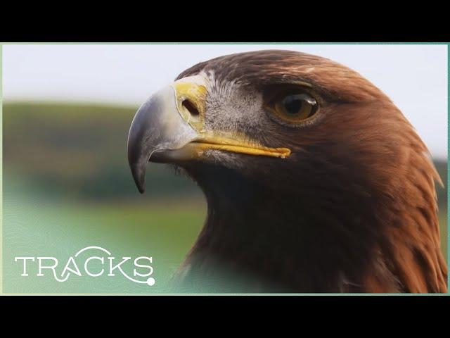 Bird’s Eye view of the Scottish Highlands | Griff's Great Britain