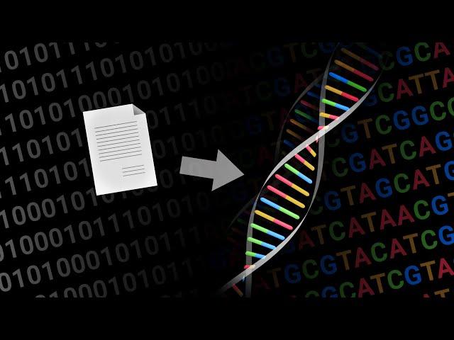 How to store data on DNA?