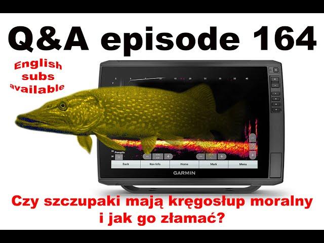 Q&A odcinek - Czy szczupak ma kręgosłup moralny i jak go złamać?